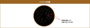 シャワーの断面