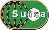 Suicaカード